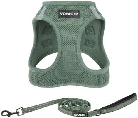Best Pet Supplies Voyager Step-in Air All Weather Mesh Harness and Reflective Dog 5ft Leash Combo with Neoprene Handle, for Small, Medium and Large Breed Puppies - Moss Green, X-Small