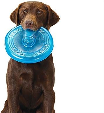 The Dogs Company Flyer Rubber Dog Toy, Dog Frisbee, 9 Inches, Assorted