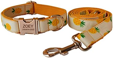 Custom Dog Collar with Names and Phone Number Engraved, Puppy Tags Personalized for Small Medium Large Pets