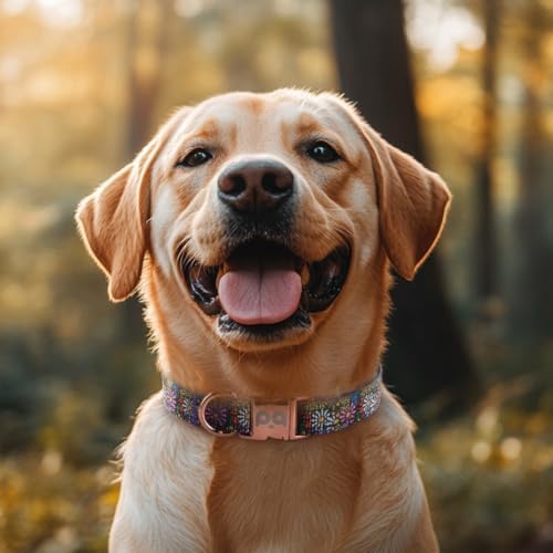 QQPETS Reflective Dog Collar with Metal Buckle Adjustable Nylon Collars Gift for Small Medium Large Boys Girls Dogs