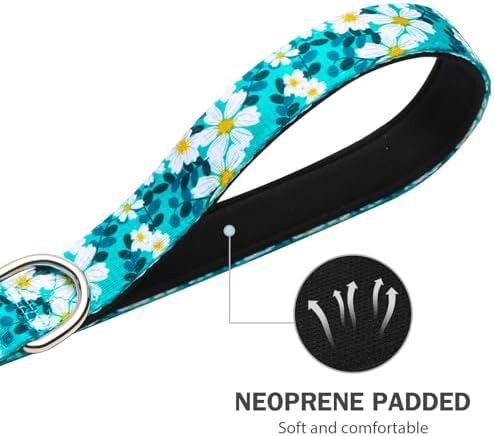 Hikiko 6FT Dog Leash Padded Double Handle with Designed Pattern