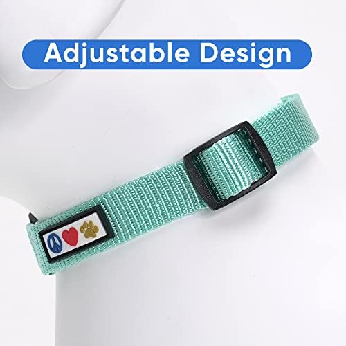 Pawtitas Solid Color Teal Puppy or Dog Collar, Medium