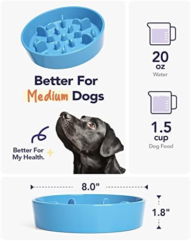 LE TAUCI PET Slow Feeder Dog Bowl Ceramic, 1.5 Cups, Blue, Non-slip Base