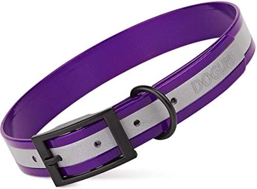 Dogline Biothane Translucent Reflective Waterproof Dog Collar Strong Coated Nylon Webbing with Black Hardware Odor- Proof for Easy Care Clean Fits Small Medium or Large Dogs - Purple 3/4"W x 12"-15" L