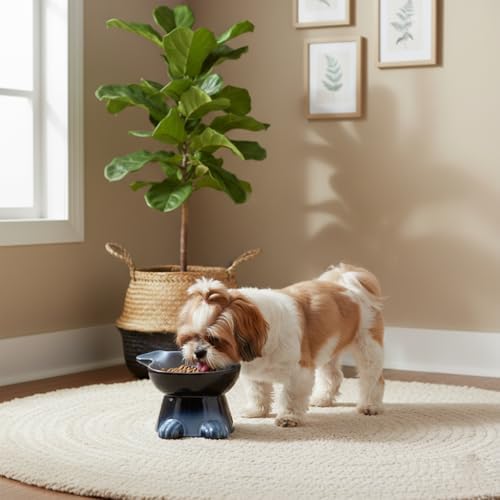 Nihow Elevated Ceramic Dog Bowls: 6.5 Inch Raised Dog Bowl for Food & Water