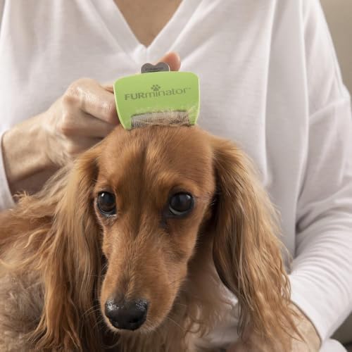 FURminator Undercoat deShedding Tool for Small Long Hair Dogs 4.5-9 kg