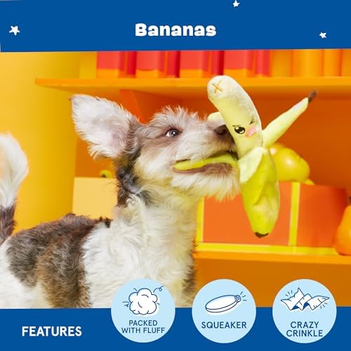 BarkBox Go Bananas 2-in-1 Interactive Plush Dog Toy