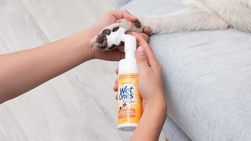 Wet Ones for Pets Antibacterial Dog Paw Cleaner with Built-In Brush, Foaming No-Rinse Formula for Cleaning Dirty Paws After Walks, Gentle Everyday Paw Wash for Dogs, 5 Oz - 2 Pack