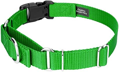 Martingale Dog Collar - Heavy Duty Nylon Adjustable Martingale Dog Collar with Plastic Buckle for Small Medium Large Breeds - 30+ Colors (3/4 Inch, Small, Hot Lime Green)