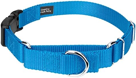 Martingale Dog Collar - Heavy Duty Nylon Adjustable Martingale Dog Collar with Plastic Buckle for Small Medium Large Breeds - 30+ Colors (3/4 Inch, Small, Ice Blue)