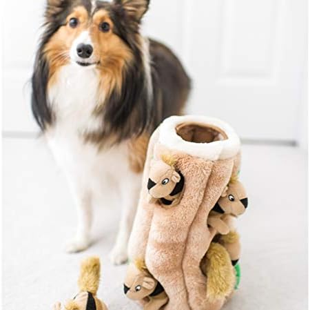 Outward Hound Hide-A-Squirrel Plush Squeaky Dog Toy, Medium, 6.5" x 6.5"