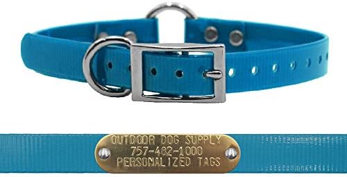 Waterproof D & Center Ring Dog Collar w Custom Name Tag 3/4x15, Teal