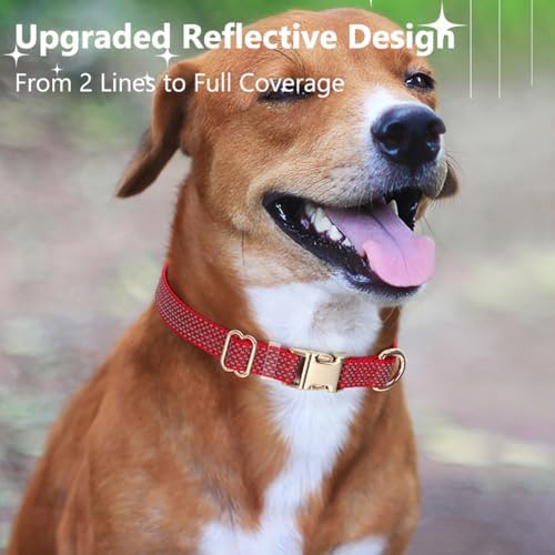 Reflective Dog Collar with Metal Buckle for Dogs Night Walking