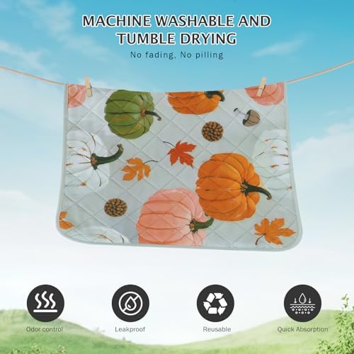 IEUUMLER Washable Pee Pads for Dogs, 2 Pack Pumpkin Pattern Reusable Waterproof Puppy Potty Pads, Non-Slip Absorbent Pet Training Pads for Playpen Crate Bed EU016 Grey Pumpkin, 30x20