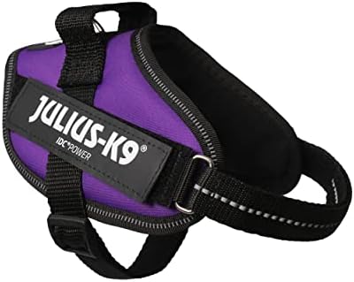 Julius-K9 IDC Powerharness, Size: XS/Mini-Mini, Dark Purple