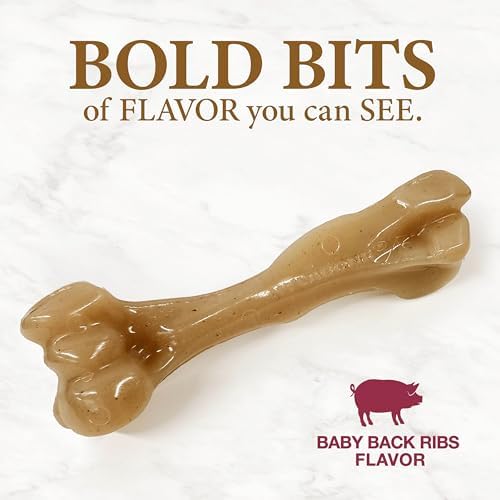 Nylabone Strong Chew Gourmet Style Dog Chew Toy, Baby Back Ribs Flavor