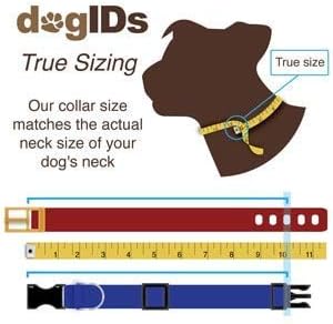 dogIDs Personalized Quick Release Waterprooft ScruffTag Dog Collar - Built-in Custom Laser Engraved Nameplate, Odor Resistant - Teal, 1 in x 13-18 in (Fits Neck Sizes: 13-18 in)