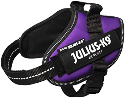 Julius-K9 IDC Powerharness, Size: XS/Mini-Mini, Dark Purple