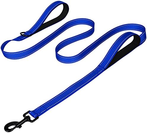 Joytale Dog Leash for Large Dogs that Pull, Double Handle, 4FT, Royal Blue