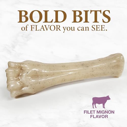 Nylabone Strong Chew Gourmet Style Knuckle Bone Dog Chew Toy, X-Large