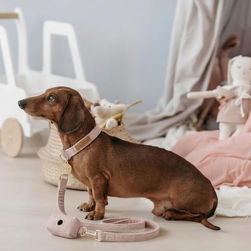 – Luxury 3-Piece Dog Walking Set – Adjustable Collar, 150 cm Leash, Poo Bag Holder – English Tweed & Soft Velvet – Elegant, Comfortable & Practical – 3 Colors