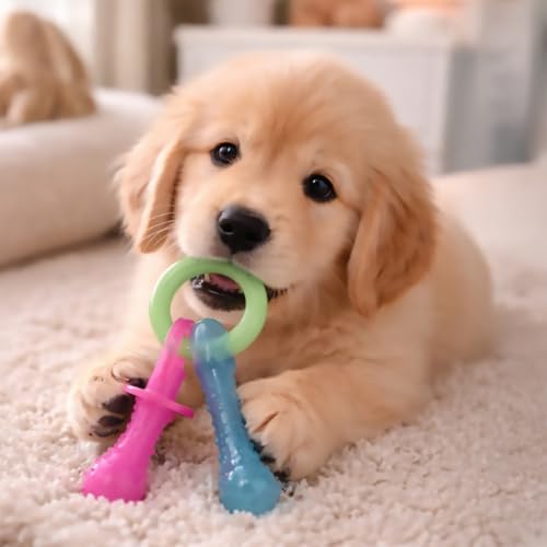 Nylabone Puppy Pacifier Chew Toy, Teething Toys for Puppies up to 25 lbs