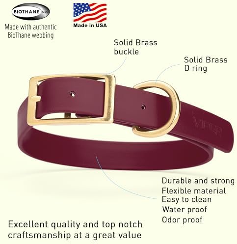 Viper Biothane Heavy Duty Waterproof Dog Collar Strong Coated Nylon Webbing w/Solid Brass Hardware Odor-Proof Easy to Clean High Performance Fits Small Medium or Large Dogs, Merlot Burgundy