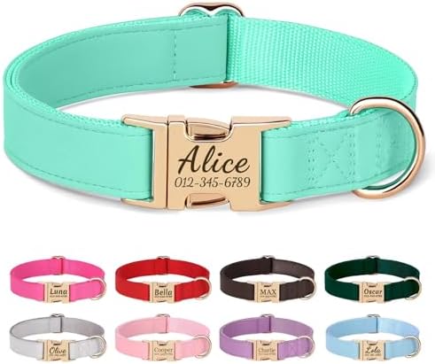 PET ARTIST Personalized Dog Collars, Custom Dog Collar with Engraved Silent Name Tag, Gold Quick Released Buckle & Soft Nylon Padded, Elegant Colors & Matching Leash for Small Dogs,Mint,L Fit 16-27"
