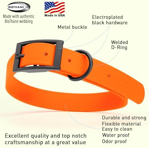 Dogline Biothane Waterproof Dog Collar Strong Coated Nylon Webbing with Black Hardware Odor- Proof for Easy Care Easy to Clean High Performance Fits Small Medium or Large Dogs, Hunter Orange