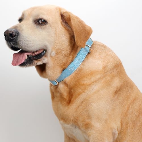 Glare Blue Personalized Dog Collars Leather and Nylon Thicken Design