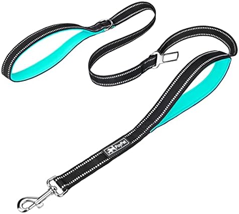 PoyPet 5 Feet Dog Leash with 2 Cushioned Handles (Mint Blue)