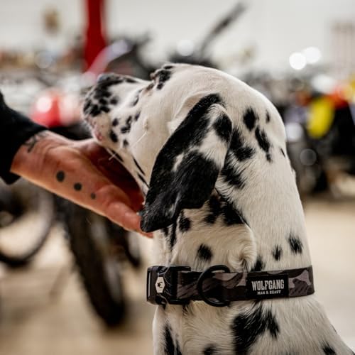 Wolfgang Heavy Duty, Adjustable Dog Collar with Quick Release Nylon Buckle for Walking & Training, DarkSkies Print, Large