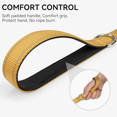 Joytale Reflective Dog Leash for Medium & Large Dogs, 6 FT x 1", Khaki