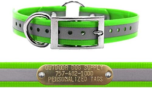 Reflective D & Center Ring Dog Collar w Custom Name Tag, Lime Green 18"