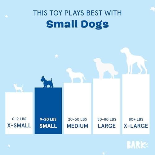 BarkBox Penny The Pineapple 2-in-1 Interactive Plush Dog Toy