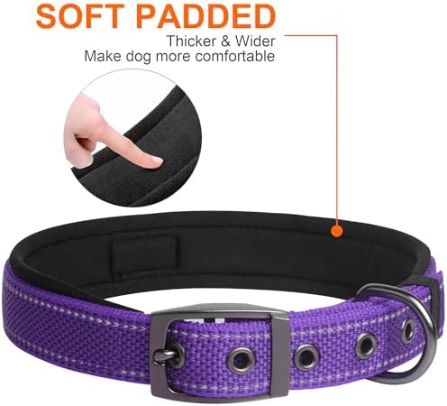 Fida Heavy Duty Dog Collar for Large Dogs with Metal Belt Buckle, Purple