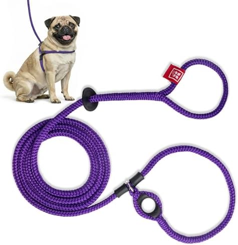 Harness Lead No Pull Dog Harness and Leash Set, Anti Pull Dog Harness, One-Piece Cushioned Rope Safely Prevents Escaping and Pulling (Small/Medium, Purple)