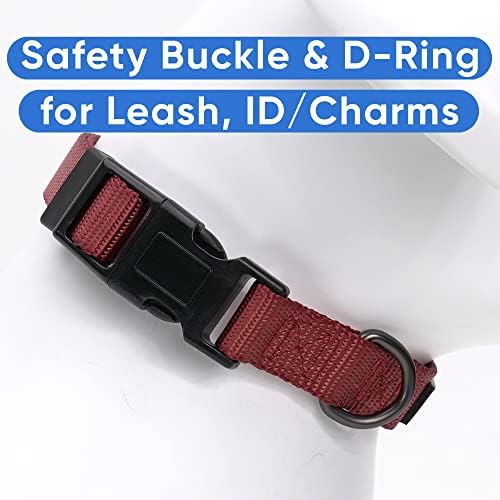 Pawtitas Solid Color Marsala Brown Puppy or Dog Collar, Medium