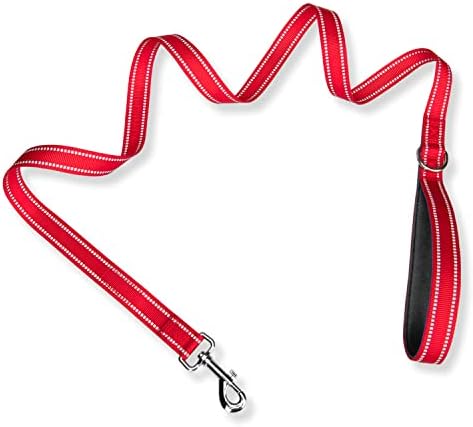 PHOEPET 5 Feet Dog Leash - Dual-Side Reflective - Soft Padded Handle