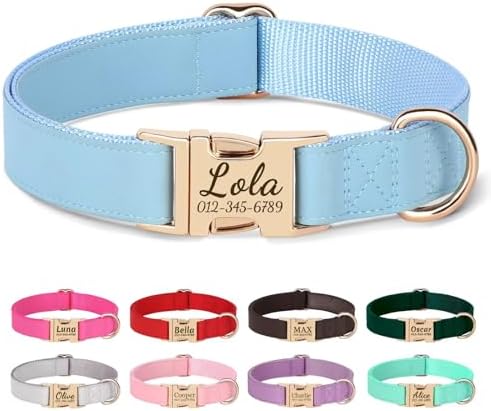 PET ARTIST Personalized Dog Collars, Custom Engraved Dog Collar with Silent Name Tag, Gold Quick Released Buckle & Soft Nylon Padded, Elegant Colors & Matching Leash for Large Dogs,Blue,L Fit 16-27"