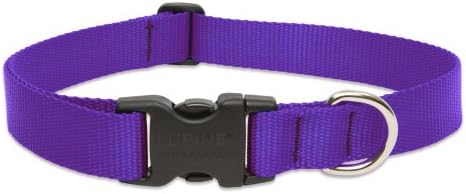 LupinePet Basics 1" Purple 25-31" Adjustable Collar for Extra Large Dogs