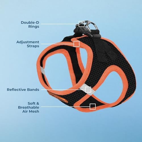 Voyager Step-in Air Dog Vest Harness - Black/Orange Trim, X-Large