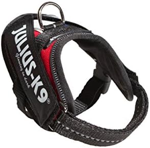 Julius-K9, 16IDC-FR-B1, IDC Powerharness, Dog Harness, Size: Baby 1, French Colours