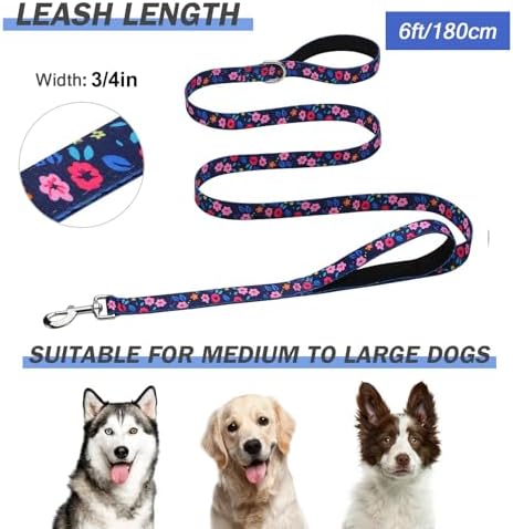 Hikiko 6FT Dog Leash Padded Double Handle with Designed Pattern