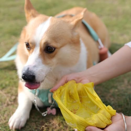 Deo Doo Compostable Dog Poop Bags with Handles 144 Bags, Unscented