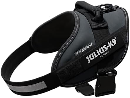 Julius-K9, 16IDC-ANT-0, IDC Powerharness, Dog Harness, Size: 0, Anthracite