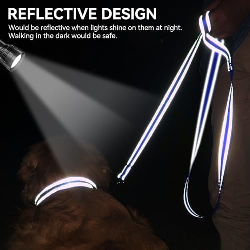 Joytale Reflective Dog Leash for Medium & Large Dogs, 6 FT x 1", Navy Blue