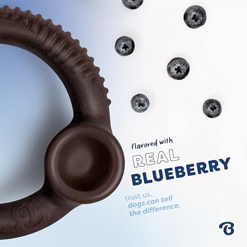 Benebone Ring Dog Chew Toy for Aggressive Chewers, Blueberry, Medium