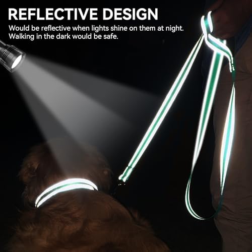 Joytale Reflective Dog Leash for Small Dogs, 5 FT x 3/4", Turquoise