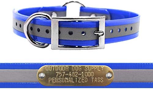 Reflective D & Center Ring Dog Collar w Personalized Name Tag, Lt Blue 21"